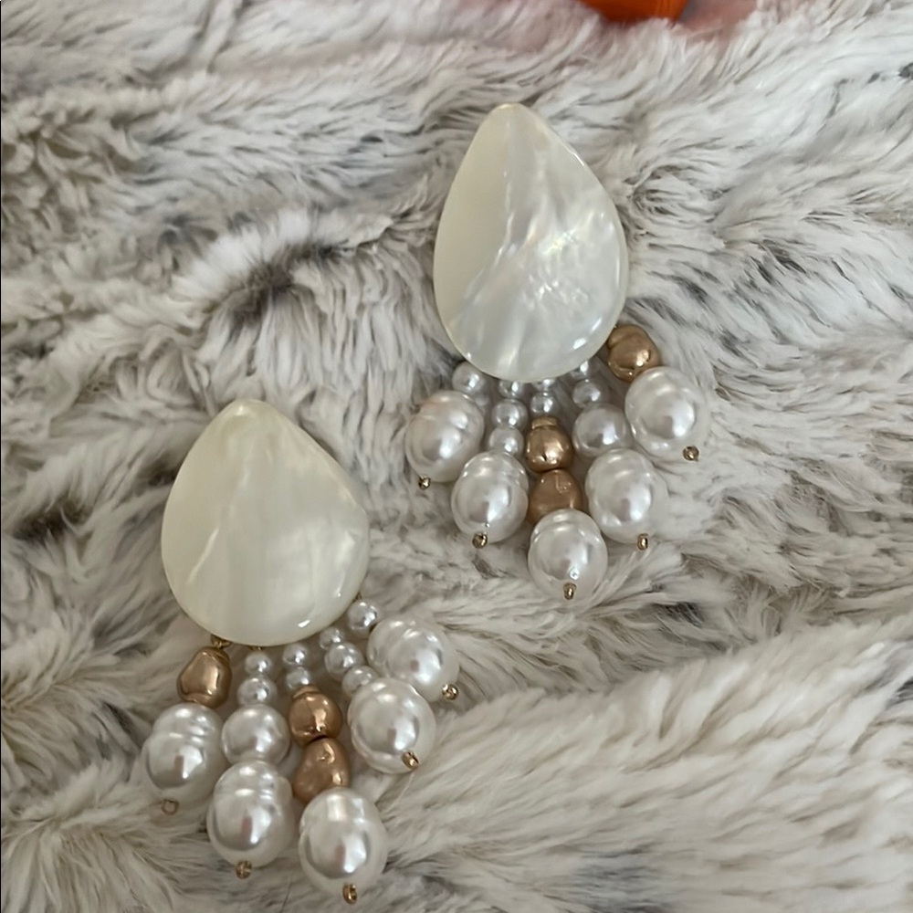 NWOT earrings